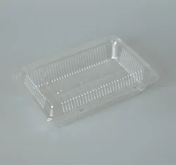 Disposable plastic large black takeaway box sushi packaging