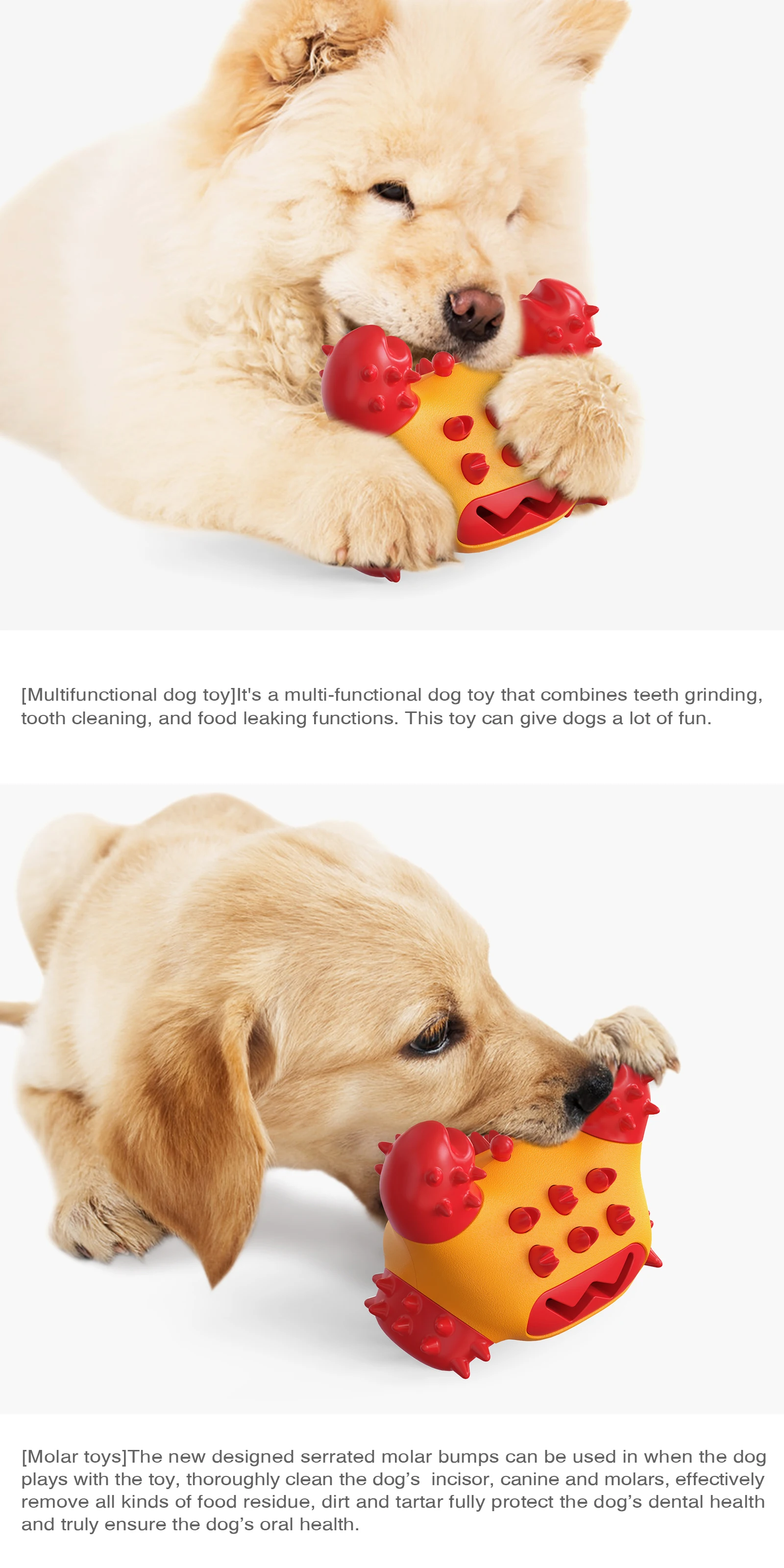 dog chew toys