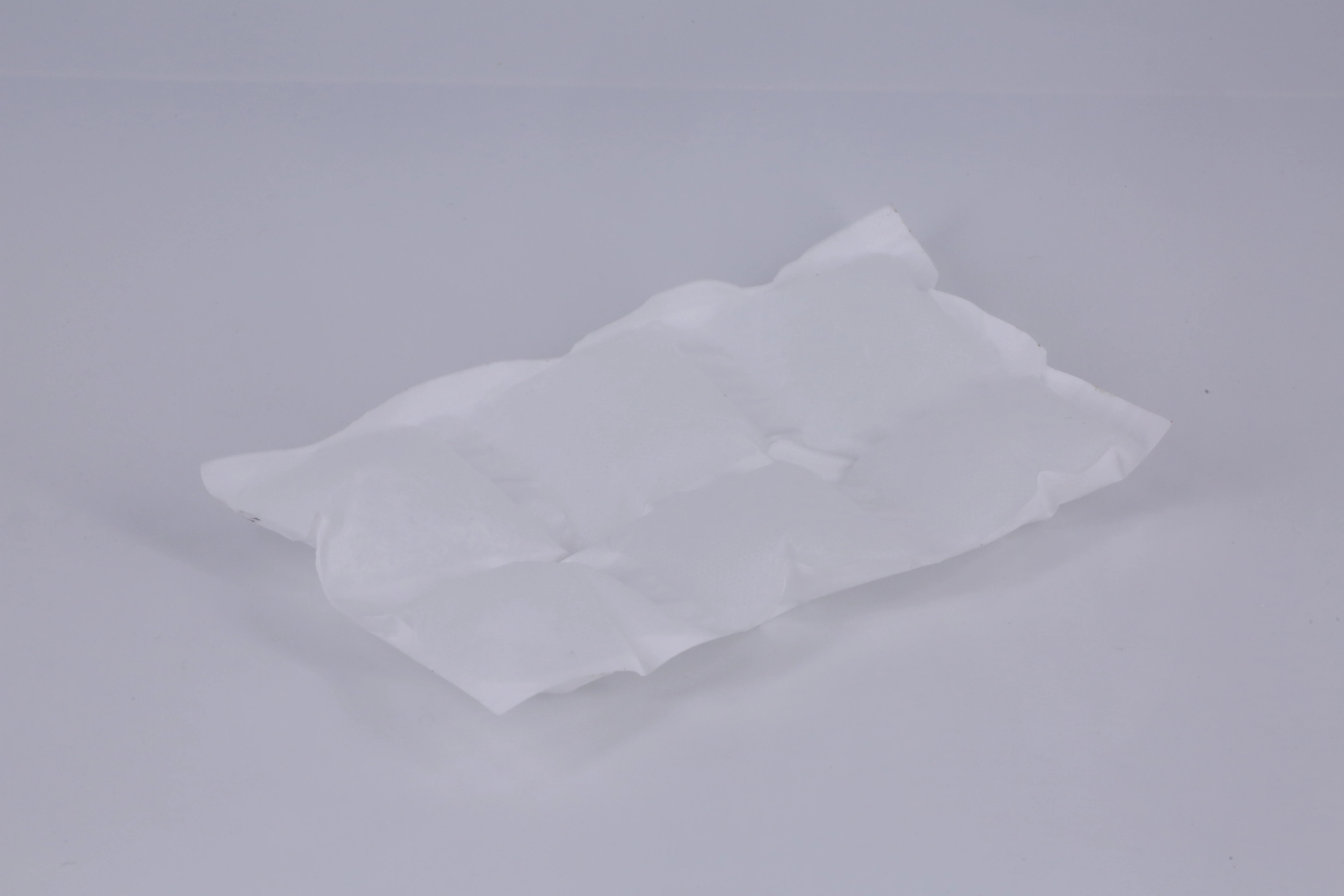 China Professional Manufacture PET+SAP+NON-WOVEN Poultry Dry Ice Bag