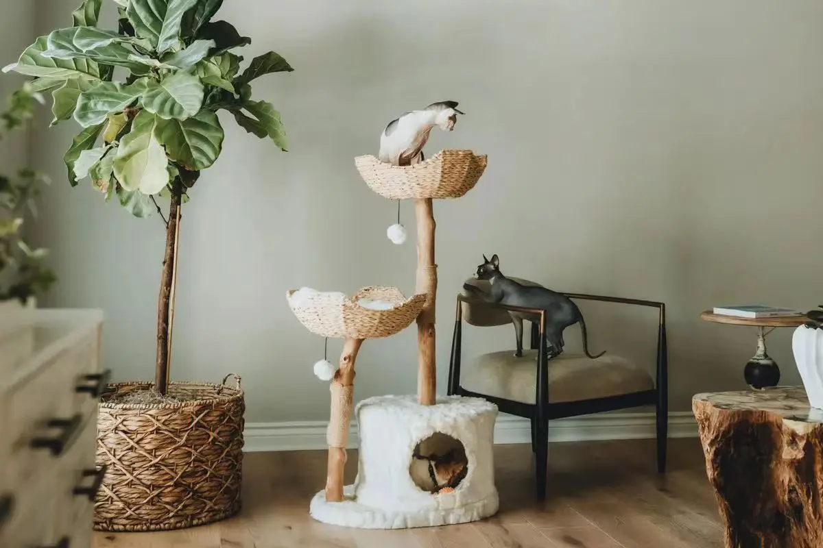 Manufacturer Wholesale Modern Natural Wooden Cat Tree Indoor Decorative Cat Scratcher and Bed Sustainable Sisal Material