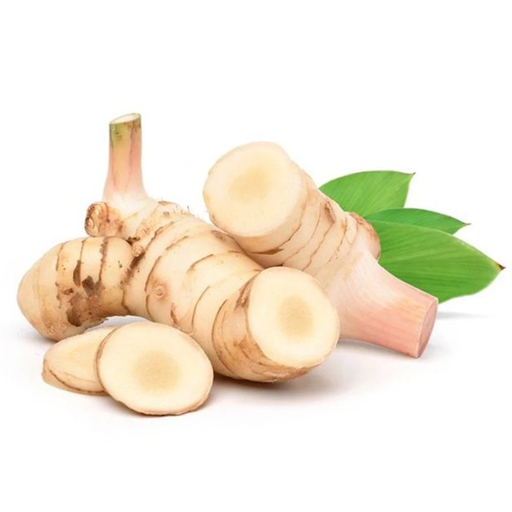 Lesser Galangal With High Quality and Stable Quantity ISO/HACCP/GLOBAL GAP Viet Nam Manufacturer +84962246940 (Whatsapp/Viber)
