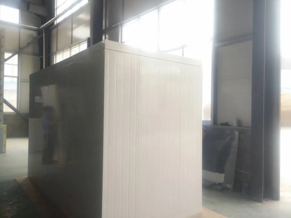 Refrigerator Freezer Storage Room cold storage