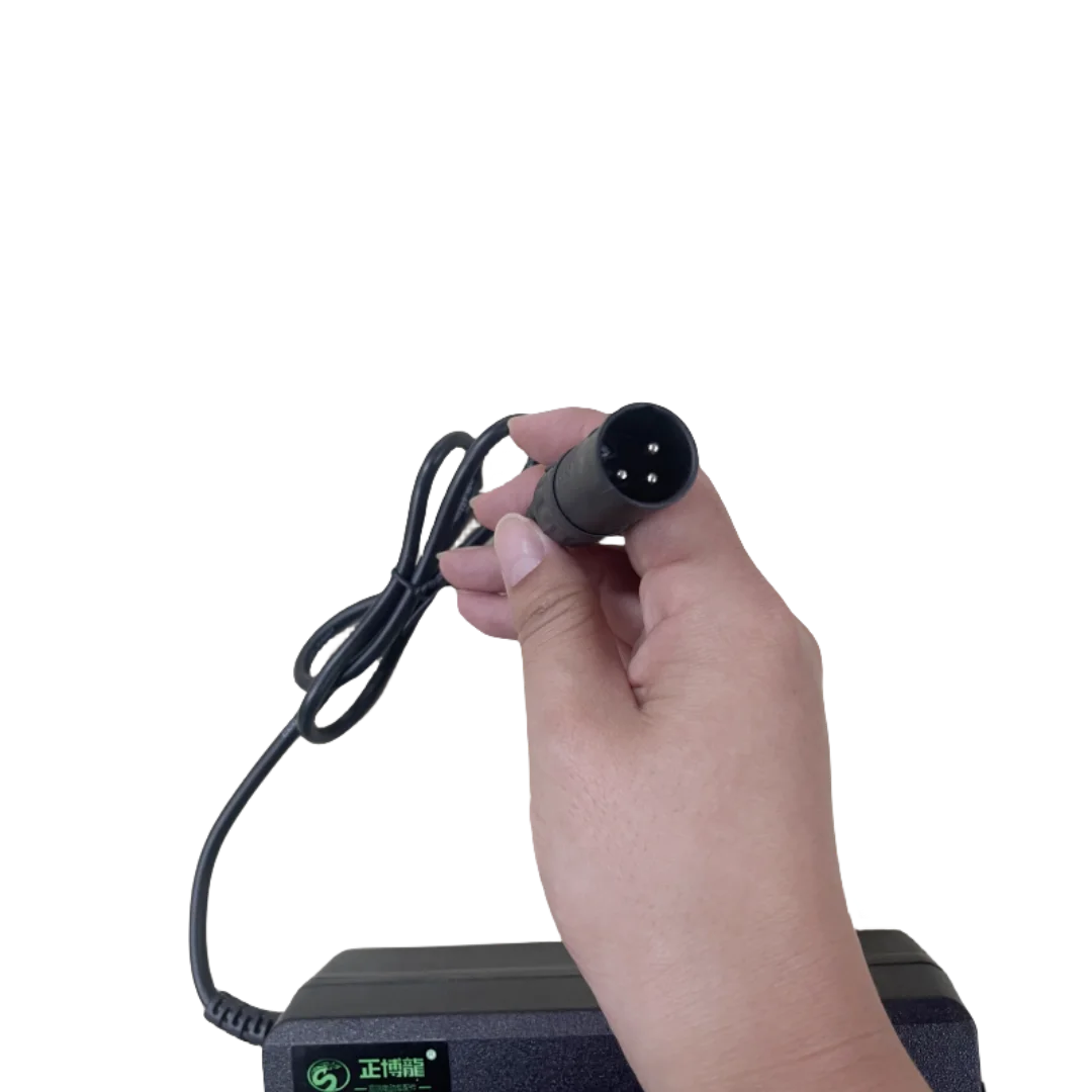 Lithium Battery Charger 48v for Motorcycle Scooter Factory Price 48V3A Charger