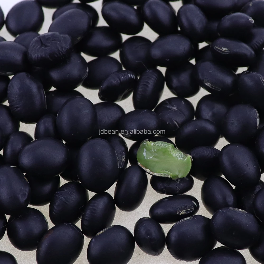 6.5mm Organic Green Kernel Black Turtle and Big Black Soybeans  Dried Black Beans Wholesale