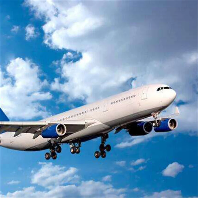 Shenzhen Shipping Agent Express Delivery Service Sea freight to the United States United Kingdom