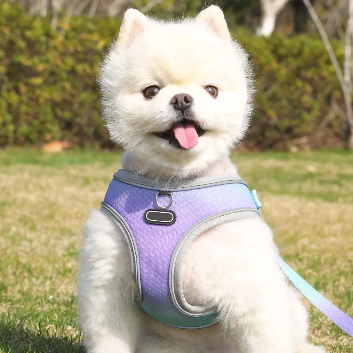 Pet Clothing Rabbit Chinchilla Bow Chest Strap Traction Rope Rabbits Chest Back Pet Leash Sweet Pets Supplies