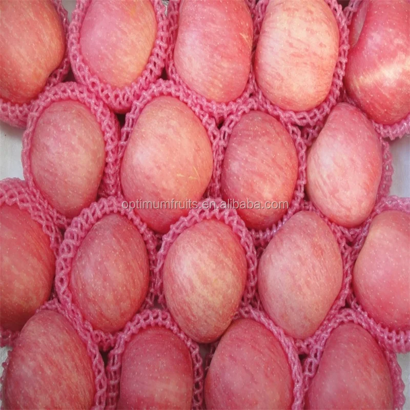 Поставщики свежих фруктов свежие яблоки один контейнер для