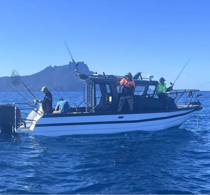 25ft 7.5m welded aluminium lobster fish pleasure Fishing vessel Speed Boats for sale With Cabin boat For sale with cheaper price