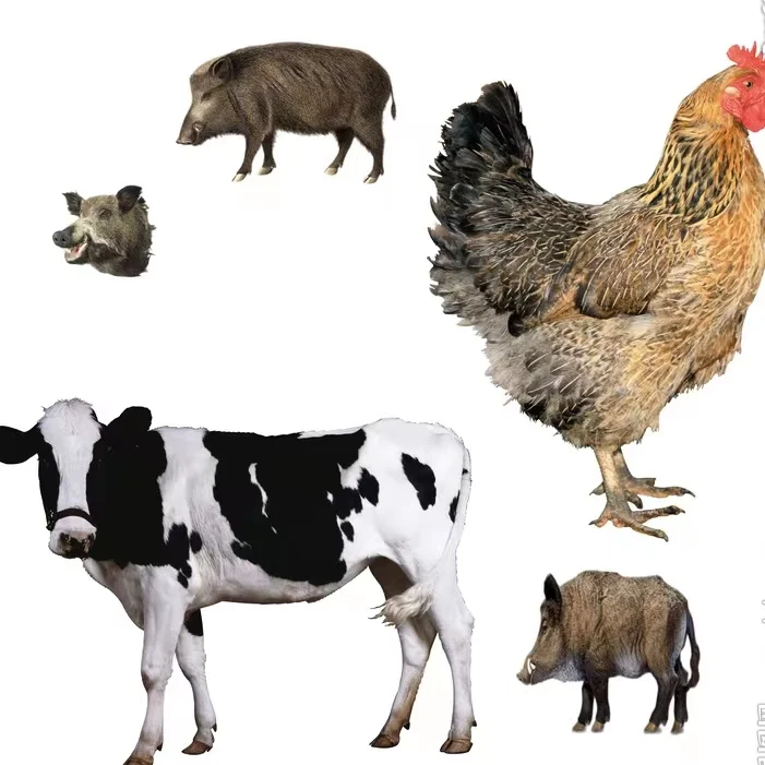 Poultry Concentrated Nutrient Solution Chelated Copper Protein Animal Feed Additives