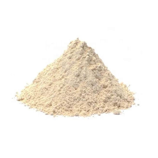 Garlic powder from Chinese factory