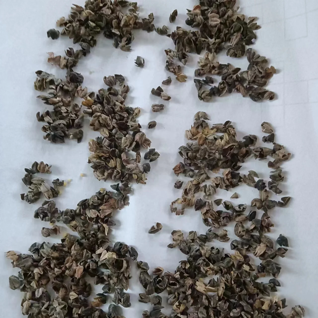 Filling Pillow Organic Raw And Roasted Bitter Tartary Buckwheat Hull Shell Bulk Buckwheat Hulls