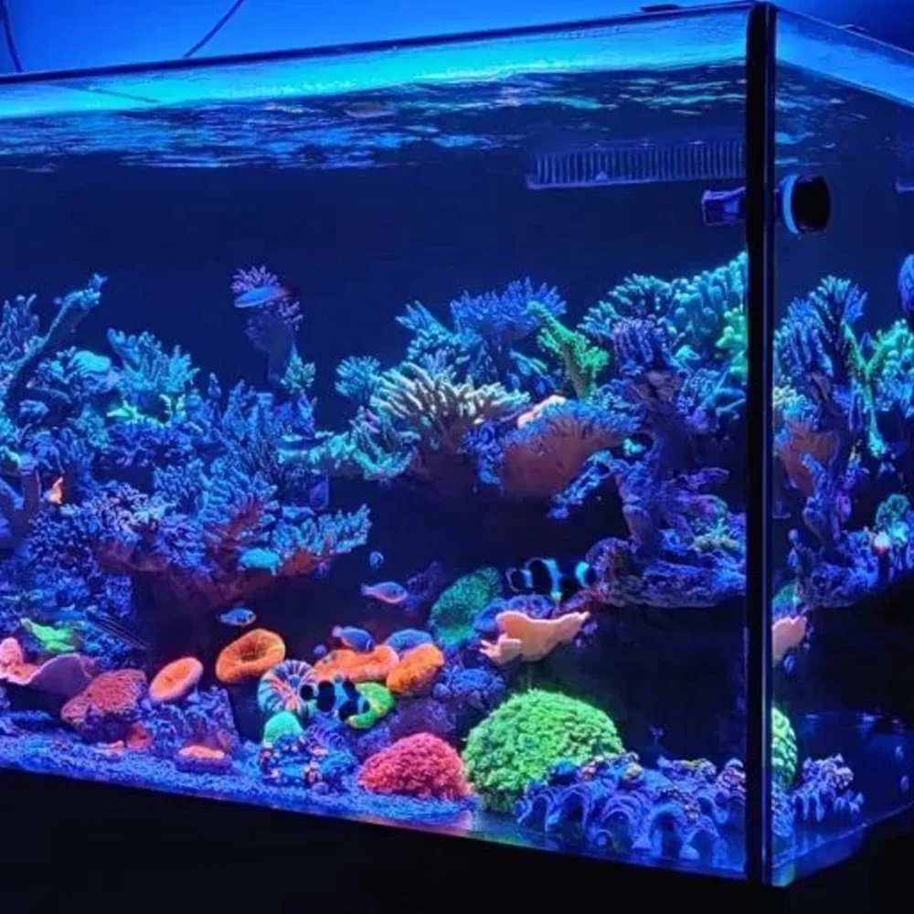 New Arrival Det Screen Light Aquarium Fish Tank Light Rack Aquarium Light Led 160 Cm Factory China