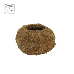 JP004 New Natural Color Moss Kokedama Ball Unique Small Flower Plant Pots for Indoor