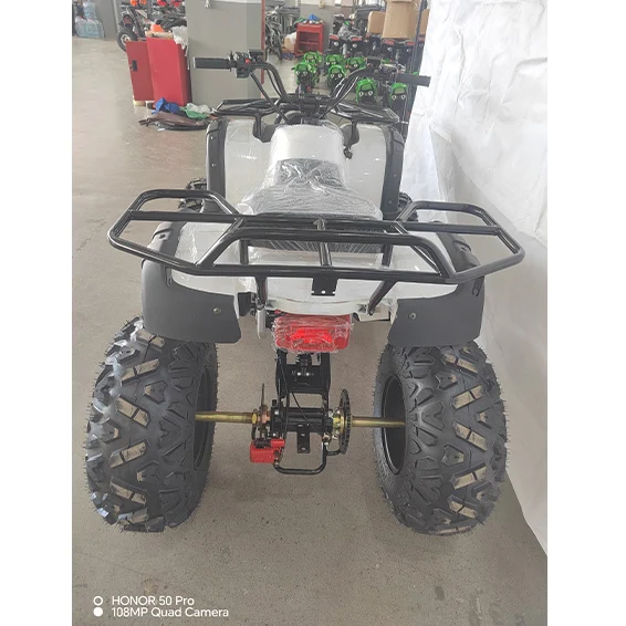 New Design Gas 200CC ATV 10inch Steel 4 Wheeler with Electric Start Outdoor Use Powerful Quad Motorbike