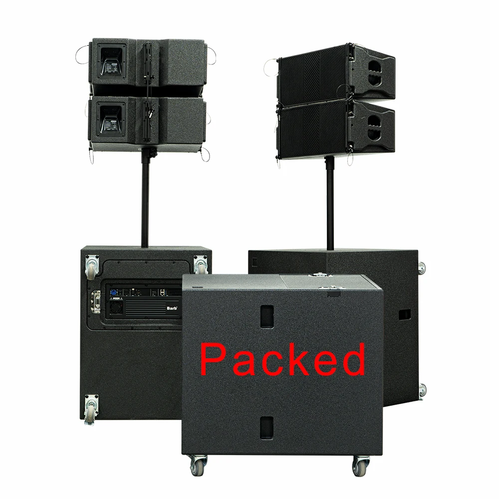 DTL110 Professional Stage Audio Sound System Waterproof Wood Shell Whole Set DSP Portable Case-fit Active Line Array Speakers