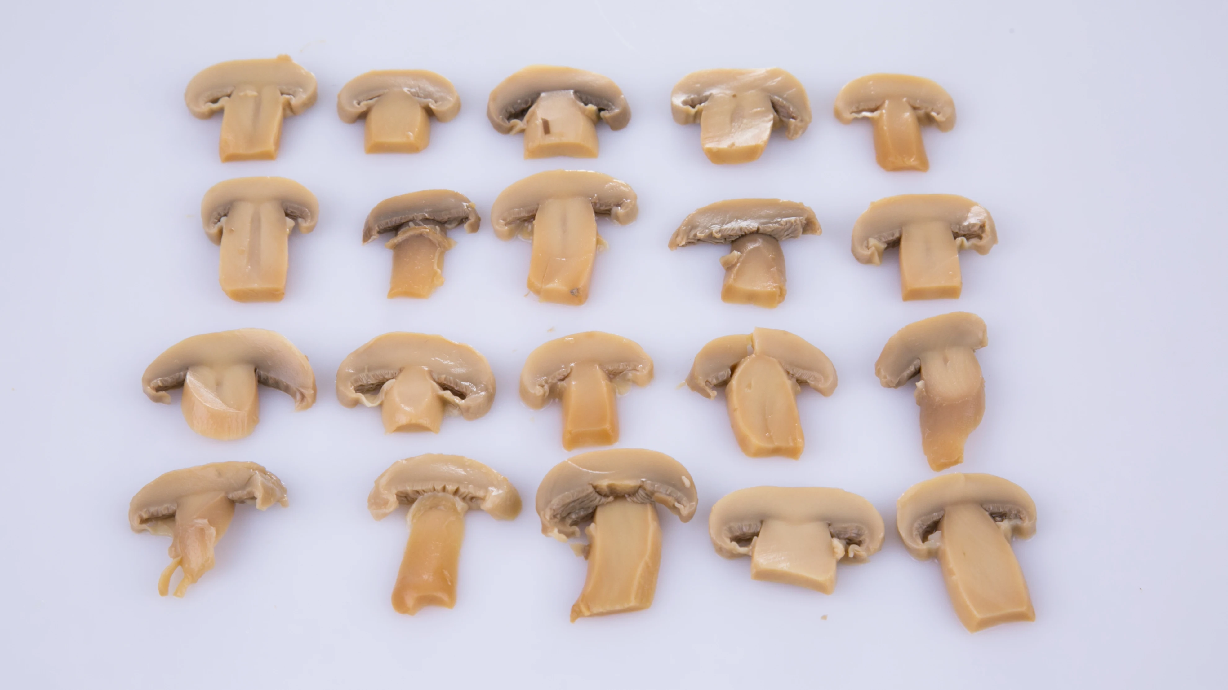 Wholesale Delicious Canned Mushroom Slice for Import in China