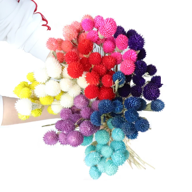 Лучший рождественский подарок, клубника, фрукты, сушеные цветы на день рождения, декоративный подарок, модное украшение для интерьера комнаты