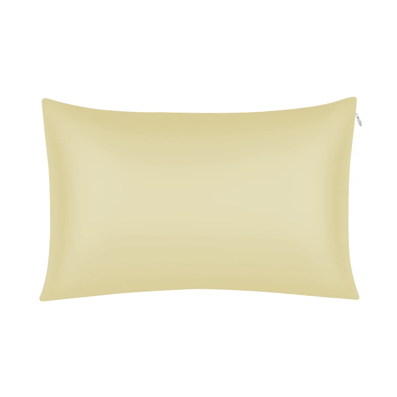 Natural Luxury 19MM 100% mulberry silk Zipper Pillow Case smooth Silk Pillowcase