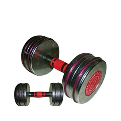 Reapbarbell  Home Used Steel Coated Mini Dumbbell
