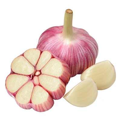 China garlic price exporter wholesale shandong ajo supplier normal white garlic fresh