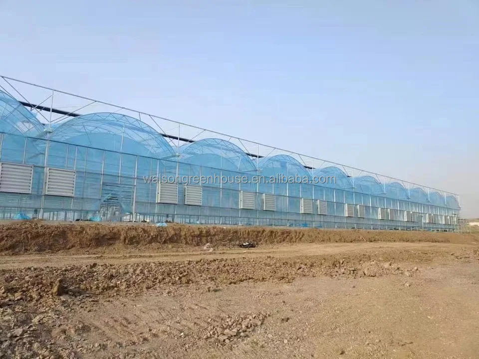 multi span plastic agricultural greenhouse with hydroponic system wide span greenhouse for strawberry growing