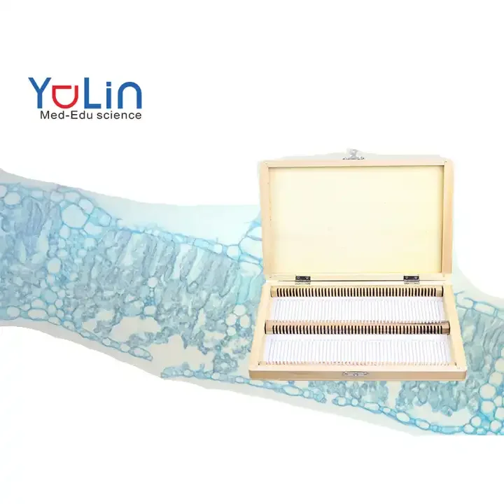 Slides Plant Leaves Microscope Prepared Slides 100 Kinds Set Botany Leaf Slides