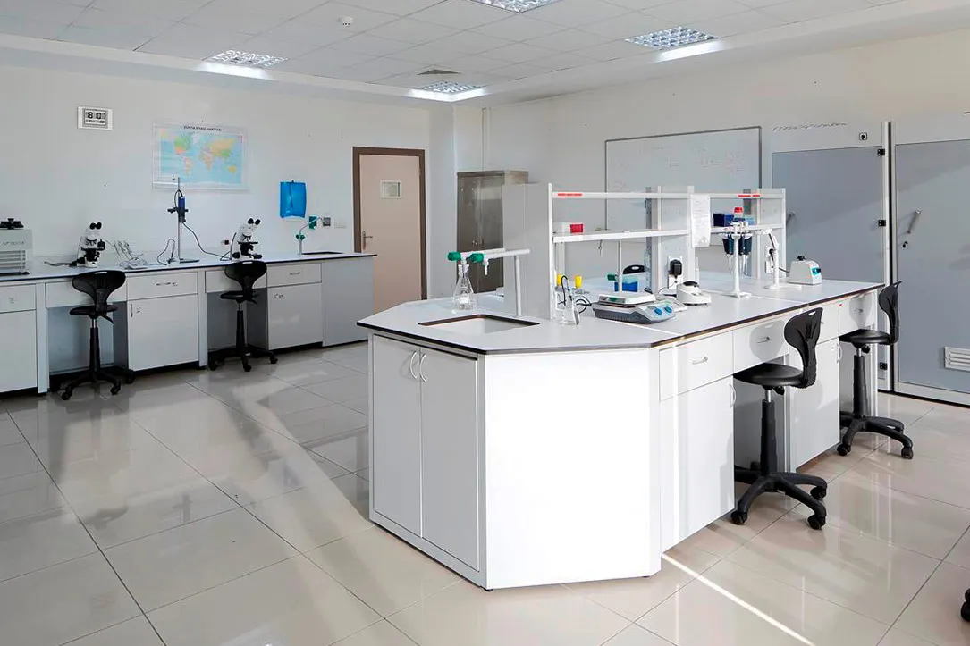 High Quality Laboratory Furniture Equipment Center Chemistry Lab Work Bench For Physics Science Biology Study Lab Table