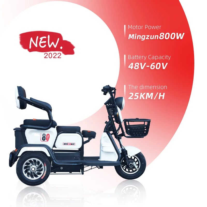 2022 Cheaper Strong Power 800W 48V Electric Tricycle Scooter Stable Performance Apply To Electric Tricycle In Pakistan