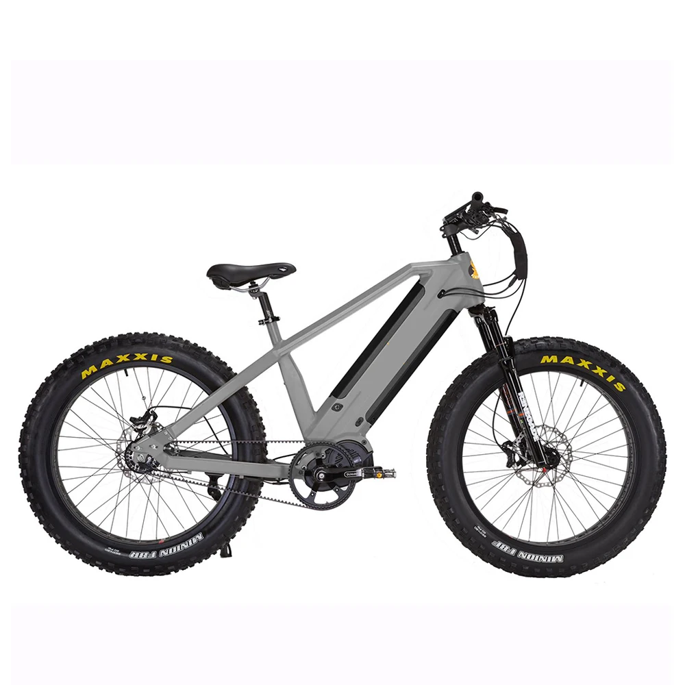 Belt Drive 48v 1000w Dual Batteries Bafang Ultra G510 M620 motor Gates ebike, electric bicycle with torque sensor 160NM