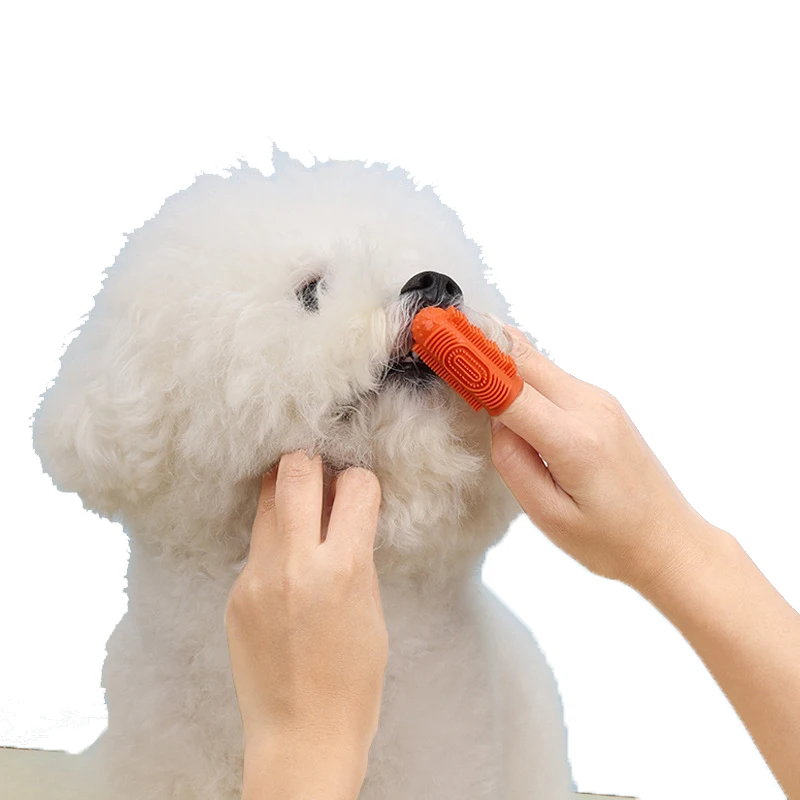 2024 Wholesale Eco-Friendly TPR Material Easy Teeth Cleaning Silicone Pet Toothbrush for Dogs and Cats Soft Bristles