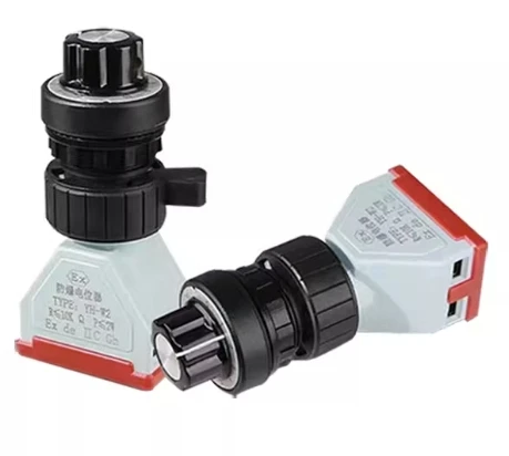Explosion-proof push button switch YH8097-2 YH8097 NB8030-A1 knob conversion switch