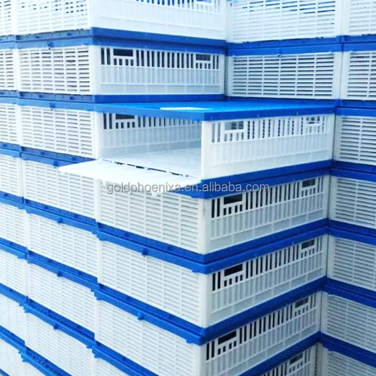 yyc Plastic Three Doors Bird Transportation Cage Poultry Racing Pigeon Cages Training Cage