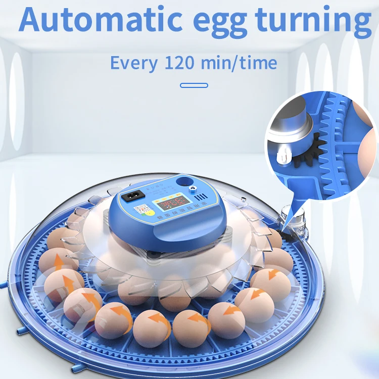 80 capacity chick egg hatching machine automatic chicken farm incubator hatcher for sale
