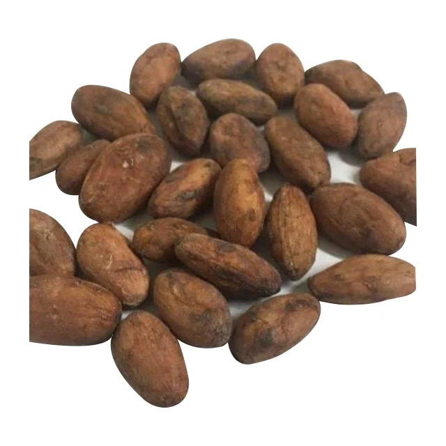 High Grade Hot Sale Cheap Bulk Natural Fermented And Dried Organic Peruvian Cacao Cocoa Beans From Peru