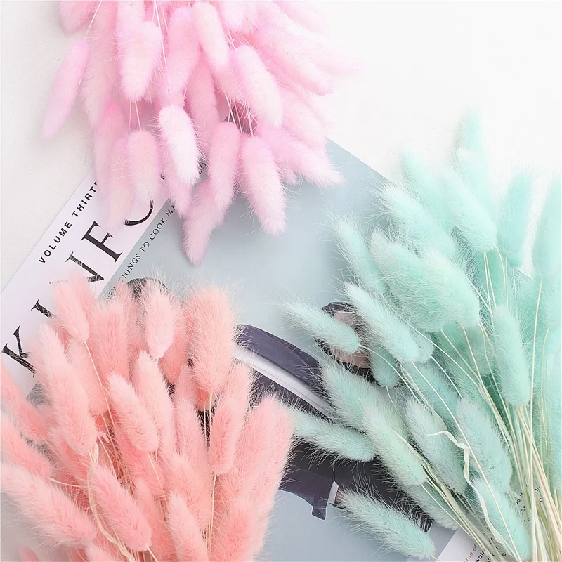 2022 New Home Decoration dry flower bouquet rabbit tail grass dried lagurus for sale