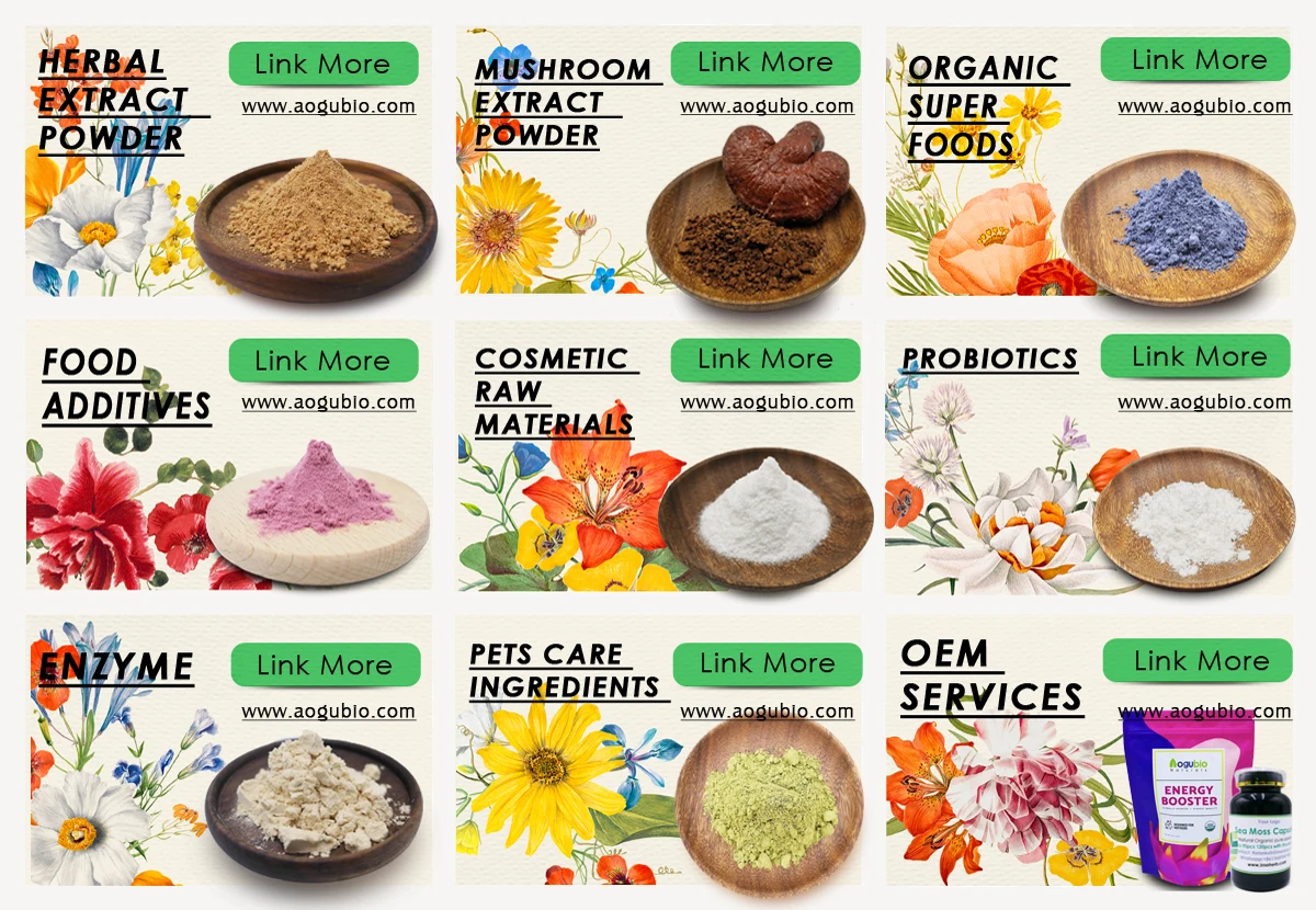 organic certification health supplement Reishi Mushroom Extract powder