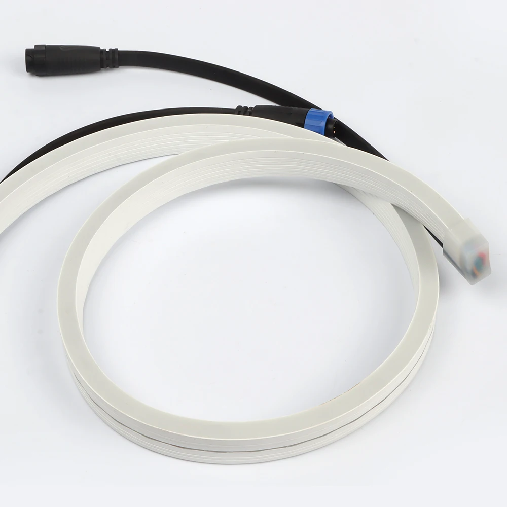 Manufacturer Strip 24V Addressable Dmx 12 Neon Led 5 Metros