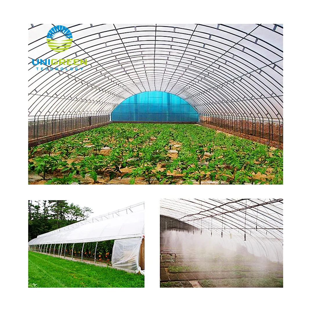  Factory Direct Selling New Type Multi-Span Flowers Vegetables Plant Aluminum Greenhouse Manufacturer