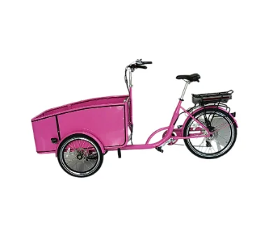 2 front wheels trikes Motorized E bike Electric assist Cargo Trike Electric Cargo Tricycle for sale