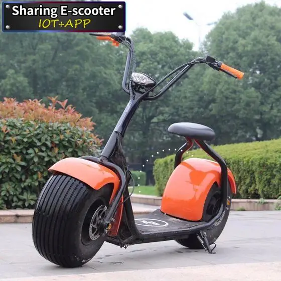 2021 Citycoco 2000W Eec Electric Scooter With Ce/Rohs