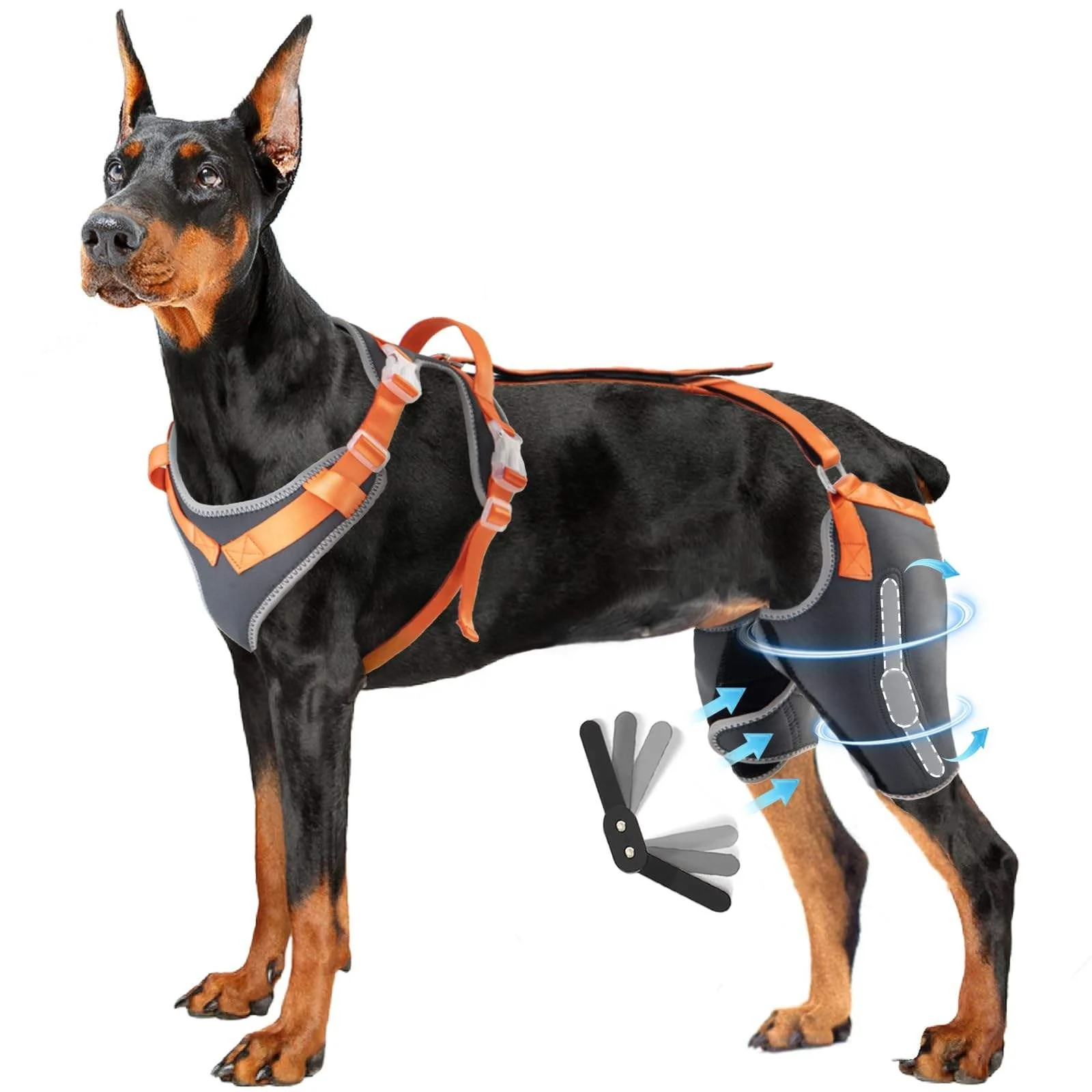 Custom Dog Knee Brace Support for Back Legs with Metal Splint Hinge,ACL/CCL Dog Brace Support
