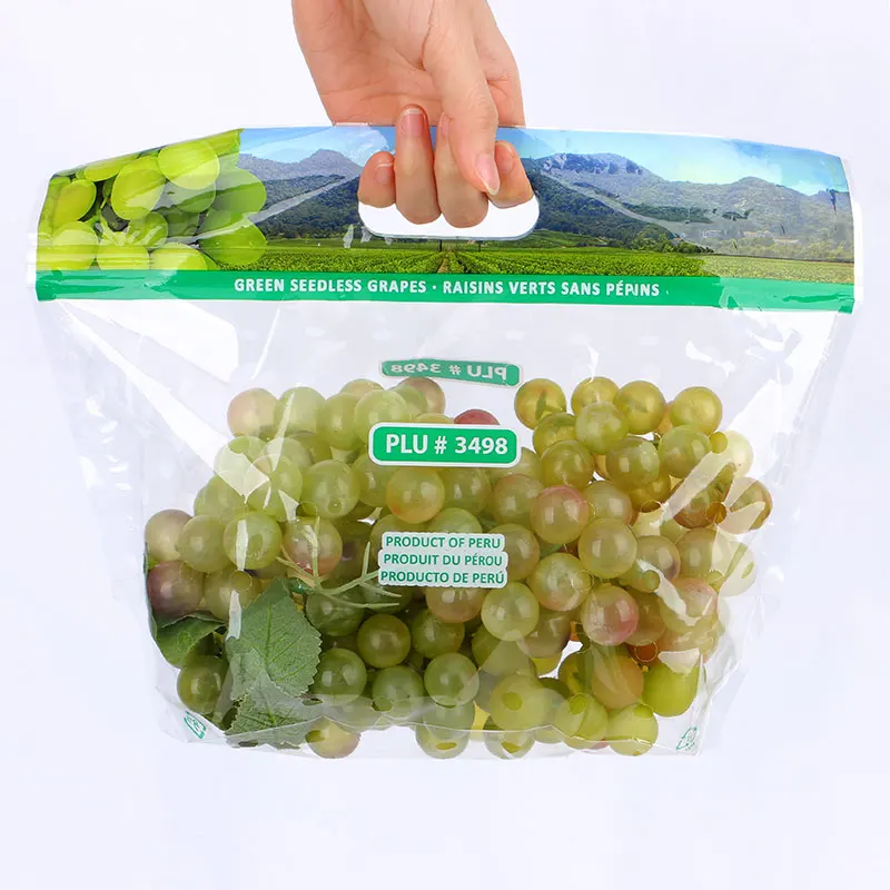 China factory supply accept custom plastic dried fruit food packaging bag grapes packaging produce bag with handle