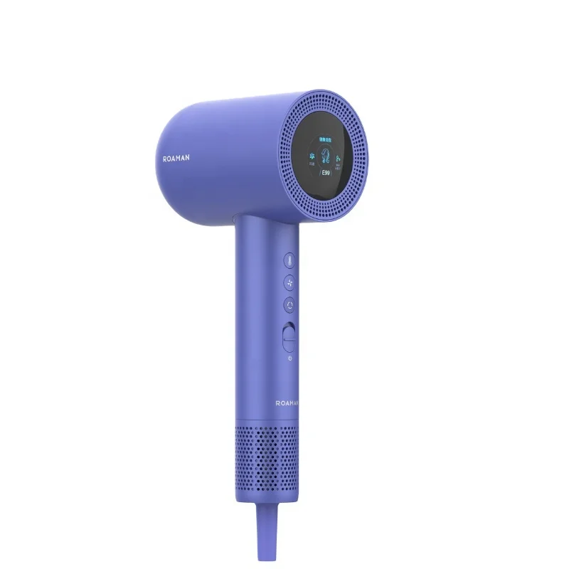 Wholesale Mini Portable Blow Dryer Professional Salon Negative Ion Brushless Hair Dryer