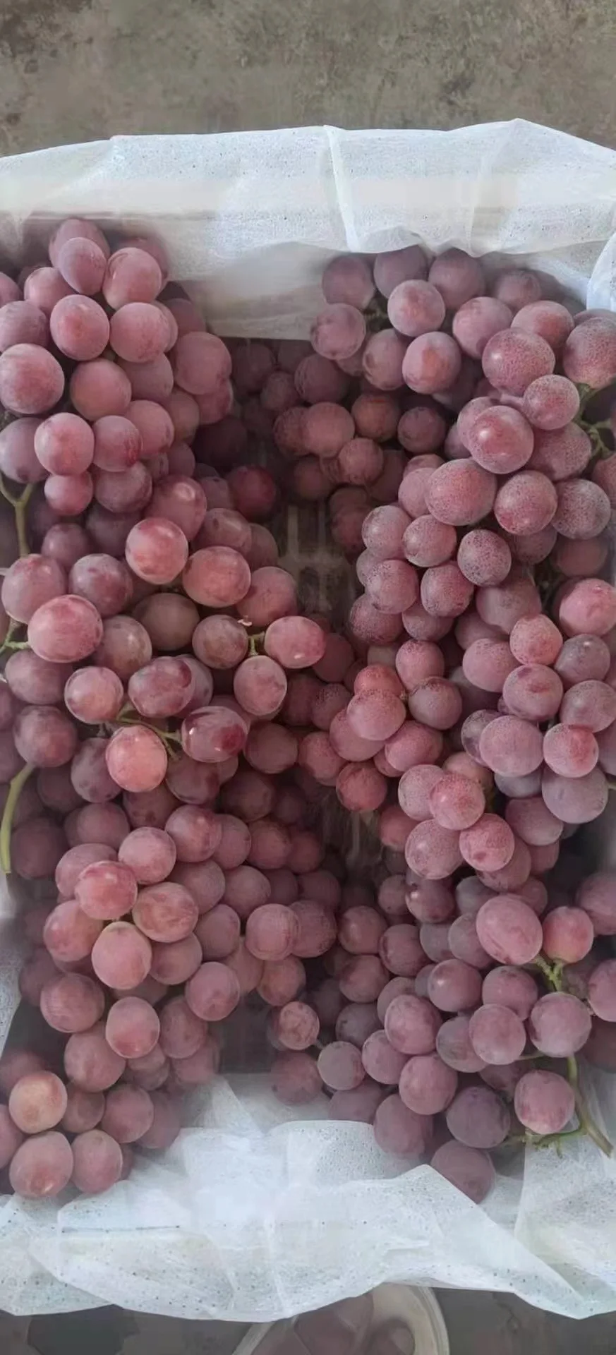 Сыпучий органический Вкусный сладкий свежий виноград для экспорта