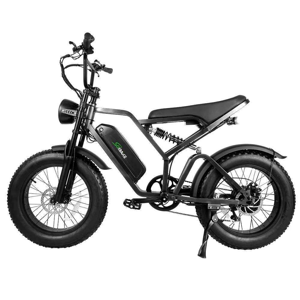 China Factory E-bike Mountain Bicycle FXH009 Double Suspension 750W 1000w Retro Fat Tire Electric Bike Disc Brake in EU/US