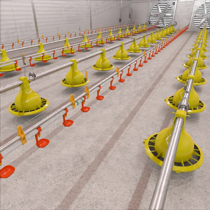 Modern Full-Automatic Chicken Broiler Floor Flat Raising Equipment Poultry Farming Used Condition Chicken Feed Feeding Equipment