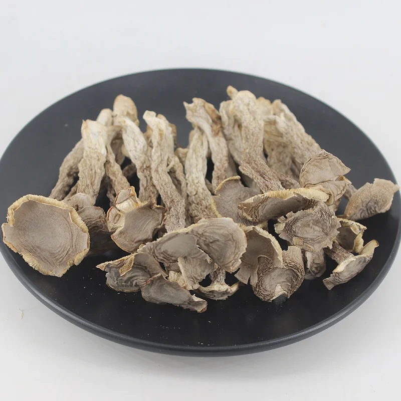 High Quality Dried Natural Pilose Antler Mushroom Velvet Antler Mushroom for Sale