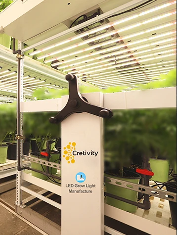 spider grow light (3)