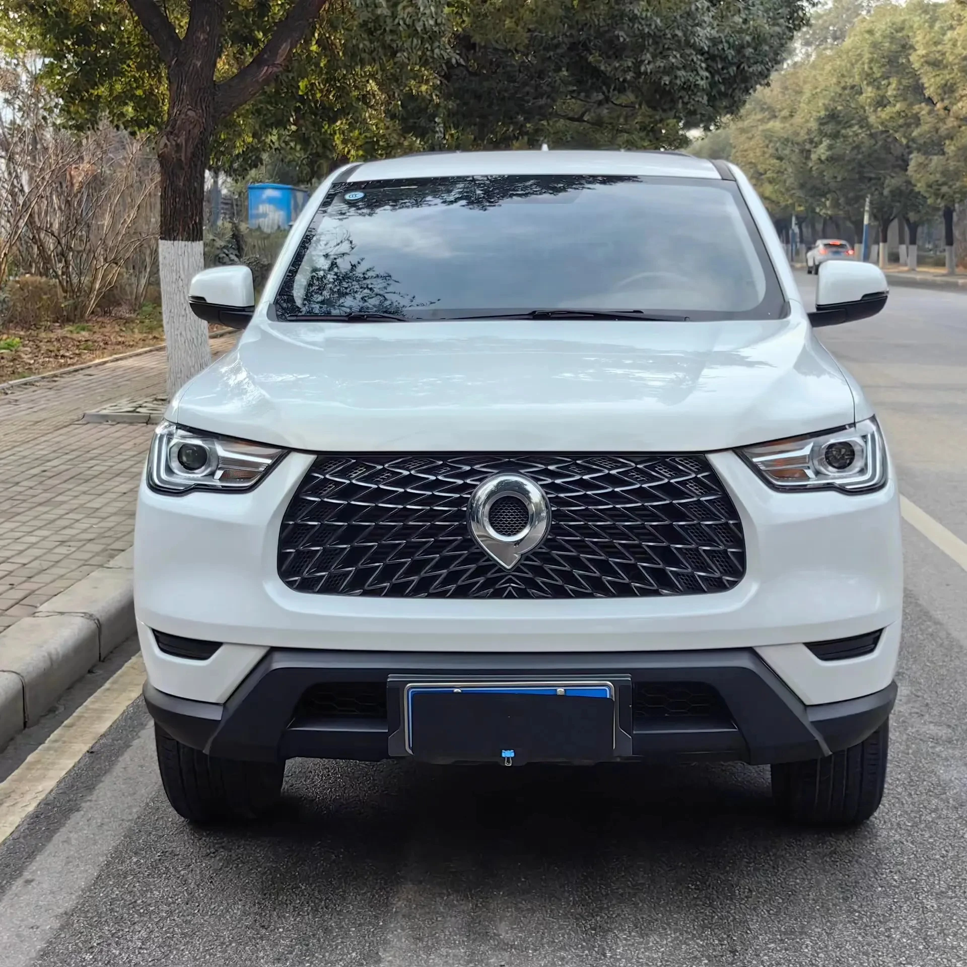 Gwm great wall poer пикап 3,0 Т 353 пс V6 9 передач 180 км/ч бензиновый дизельный 4wd Новый энергетический автомобиль ev Гибридный 5-местный пикап