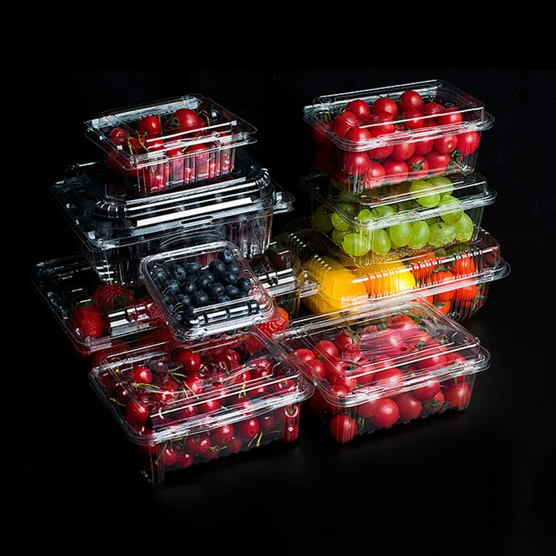 Food Container with Dome Lid Fruit and Salad Packaging Box Transparent PET Plastic Disposable OEM ODM Custom Embossing